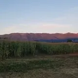 Fritz Corn Maze Haunted Trail & Haunted Barn photo