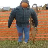 Fritz Corn Maze Haunted Trail & Haunted Barn photo