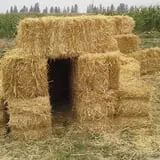 Fritz Corn Maze Haunted Trail & Haunted Barn photo