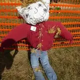 Fritz Corn Maze Haunted Trail & Haunted Barn photo