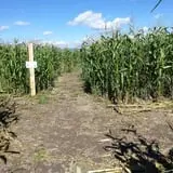 Fritz Corn Maze Haunted Trail & Haunted Barn photo