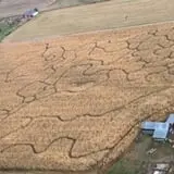Fritz Corn Maze Haunted Trail & Haunted Barn photo