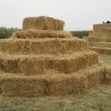 Fritz Corn Maze Haunted Trail & Haunted Barn photo