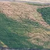 Fritz Corn Maze Haunted Trail & Haunted Barn photo