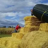 Fritz Corn Maze Haunted Trail & Haunted Barn photo