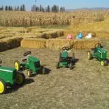 Fritz Corn Maze Haunted Trail & Haunted Barn photo