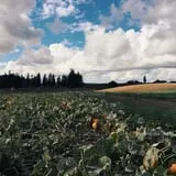 Roloff Farm Scenic Walk & Pumpkin Season photo