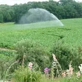 Dame Farm & Orchards photo