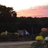 Dame Farm & Orchards photo