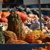 Dame Farm & Orchards photo