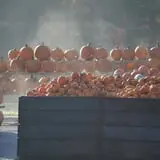 Dame Farm & Orchards photo