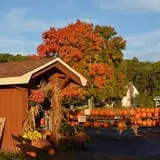 Dame Farm & Orchards photo