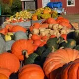 Dame Farm & Orchards photo