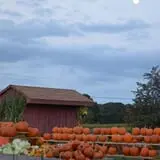 Dame Farm & Orchards photo