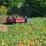 Dame Farm & Orchards photo