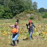 Dame Farm & Orchards photo