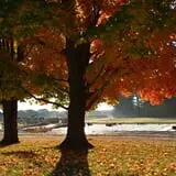 Dame Farm & Orchards photo
