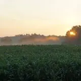 Dame Farm & Orchards photo