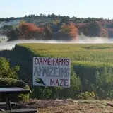 Dame Farm & Orchards photo