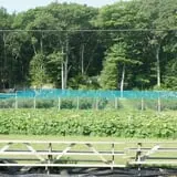 Dame Farm & Orchards photo