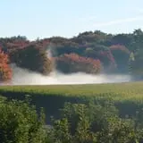 Dame Farm & Orchards photo