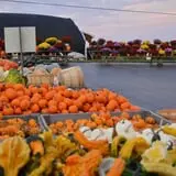 Dame Farm & Orchards photo