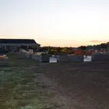 Dame Farm & Orchards photo