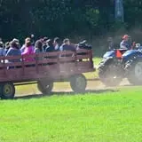 Dame Farm & Orchards photo