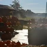 Dame Farm & Orchards photo