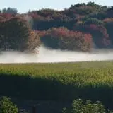 Dame Farm & Orchards photo
