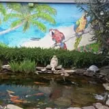 Farmer Girl Exotic Gardens photo