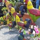 Farmer Girl Exotic Gardens photo