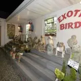 Farmer Girl Exotic Gardens photo