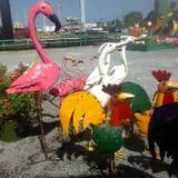 Farmer Girl Exotic Gardens photo