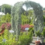 Farmer Girl Exotic Gardens photo