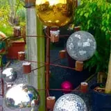 Farmer Girl Exotic Gardens photo
