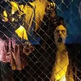 Zombie Zone