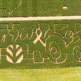 Norz Hill Farm & Market, LLC