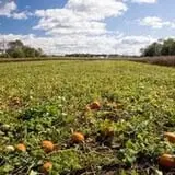 Norz Hill Farm & Market, LLC photo
