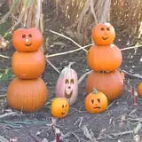 Norz Hill Farm & Market, LLC photo