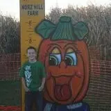 Norz Hill Farm & Market, LLC photo