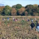 Norz Hill Farm & Market, LLC photo