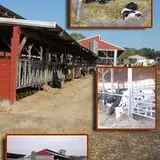 Norz Hill Farm & Market, LLC photo