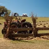 Coon Hollo Corn Maze photo