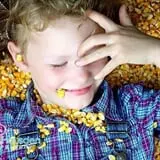 Coon Hollo Corn Maze photo