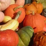 Warmbier Farms photo