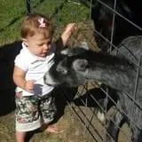 Warmbier Farms photo