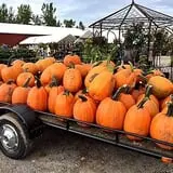 Warmbier Farms photo