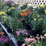 Warmbier Farms photo