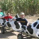 Warmbier Farms photo